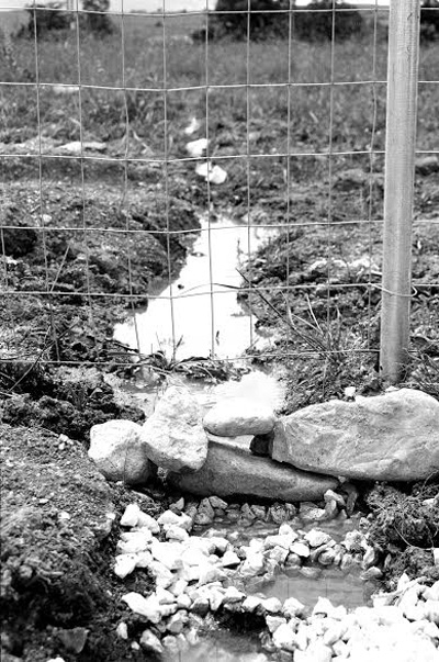 Wardan Al Aqeel Wardan Al Aqeel